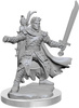Dungeons&Dragons Frameworks Male Half-Elf Ranger