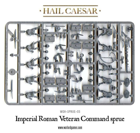 Hail Caesar Imperial Roman Veterans