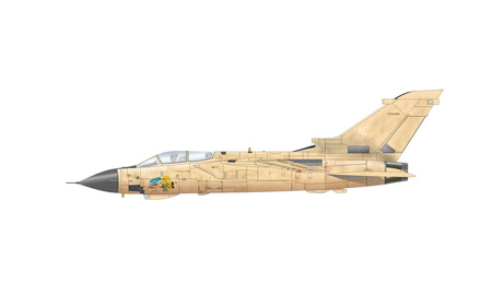 Eduard 2137 Desert Babes 1:72