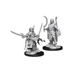 D&D Human Male Ranger - Nolzur's Miniature