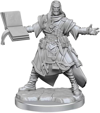 Pathfinder Legendary Cuts Male Human Wizard