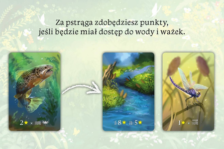 Ekosystem