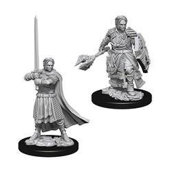 D&D Male Human Cleric - Nolzur's Miniature