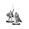 D&D Human Male Paladin - Nolzur's Miniature