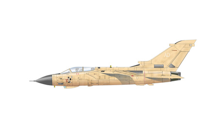 Eduard 2137 Desert Babes 1:72