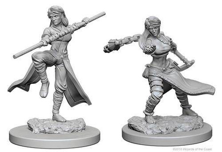 D&D Female Human Monk - Nolzur's Miniature