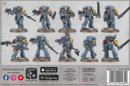 Space Wolves Grey Hunters