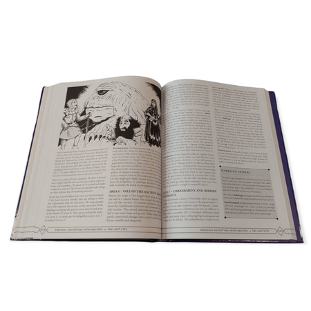 Dungeon&Dragons Original Adventures Reincarnated 4 - The Lost City