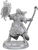 Pathfinder Legendary Cuts Male Human Wizard
