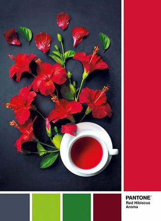 Puzzle 1000 el. Pantone - Red Hibiscus Aroma