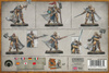 Warcry Questor Soulsworn