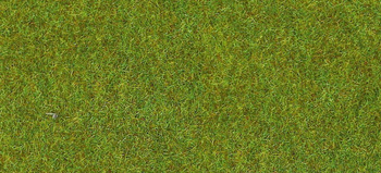 Heki 30921 Mata trawa z kwietami 75x100 cm