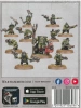 Orks Runtherd And Gretchin