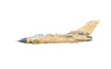 Eduard 2137 Desert Babes 1:72