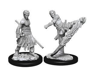 D&D Male Half-Elf Monk - Nolzur's Miniature