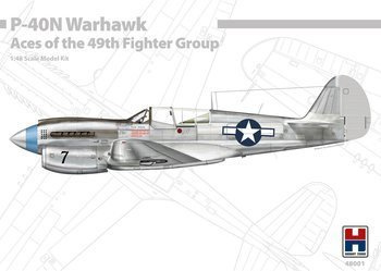 Hobby 2000 P-40N Warhawk Aces of the 49th FG