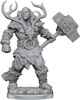 Dungeons&Dragons Frameworks Goliath Barbarian Male