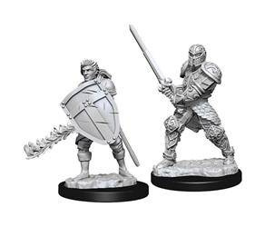 D&D Male Human Fighter - Nolzur's Miniature