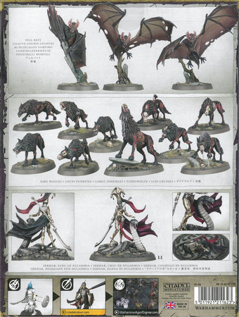 Soulblight Gravelords Dawnbringers Fangs of The Blood Queen