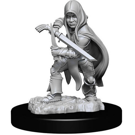 D&D Halfling Male Rogue - Nolzur's Miniature
