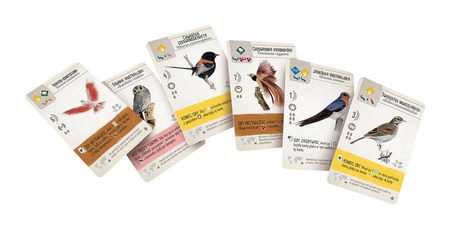 Na Skrzydłach: Ptaki Oceanii