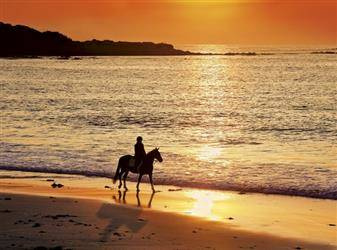 Puzzle 500 - Spacer przy Zachodzie Słóńca