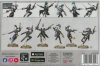 Aeldari Harlequin Troupe