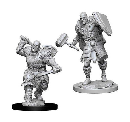 D&D Male Goliath Fighter - Nolzur's Miniature