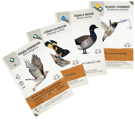 Na skrzydłach: Szybki start