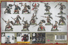 Slaves To Darkness Darkoath Marauders