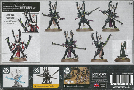 Drukhari Incubi / Ynnari Incubi
