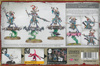 Disciples of Tzeentch Tzaangor Enlightened / Skyfires