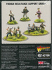 Bolt Action French Resistance Support Group