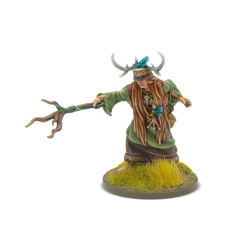 Hail Caesar Soldier of Fortune 19 Bodhmall the Druidess