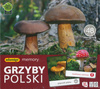 Memory Grzyby Polski Adamigo
