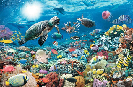 Puzzle 5000 Głębia Oceanu (Ravensburger)