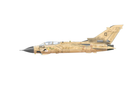 Eduard 2137 Desert Babes 1:72