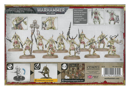 Maggotkin of Nurgle Plaguebearers of Nurgle