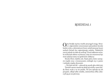 Dungeons&Dragons Złodziejski Honor Ścieżka Druida