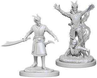 D&D Male Tiefling Warlock - Nolzur's Miniature