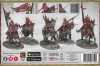 Soulblight Gravelords Blood Knights