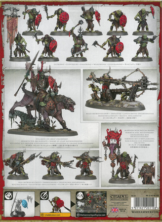 Orruk Warclans Vanguard [PRZEDSPRZEDAŻ]