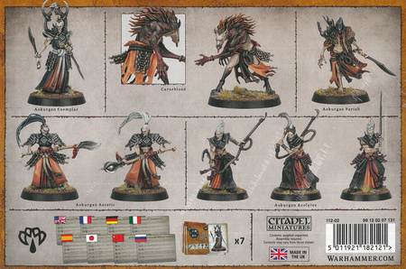 Warcry Soulblight Gravelords Askurgan Trueblades
