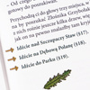 Zielobór. Czy zdołasz uratować miasto? - gra paragrafowa