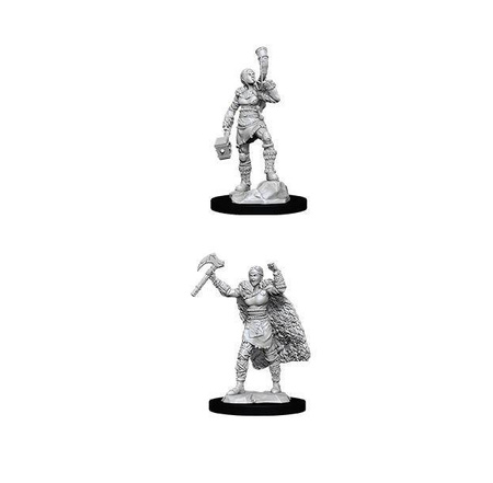 D&D Female Human Barbarian - Nolzur's Miniature