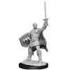 D&D Human Male Paladin - Nolzur's Miniature