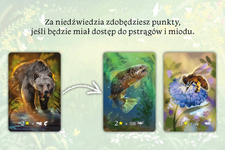 Ekosystem