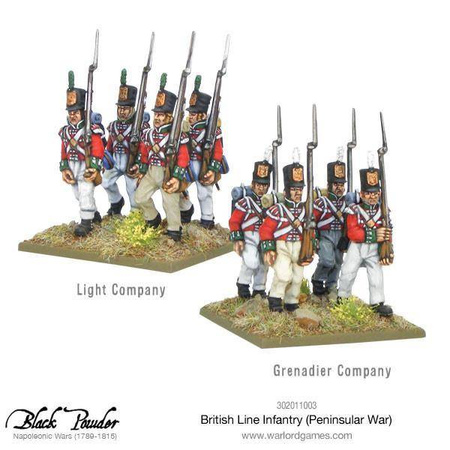 Black Powder British Line Infantry Peninsular War