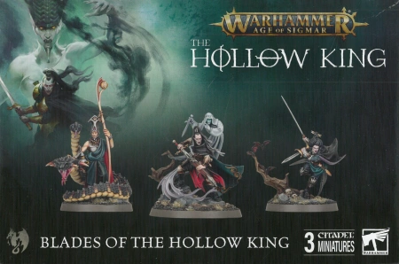Soulblight Gravelords Blades of the Hollow King
