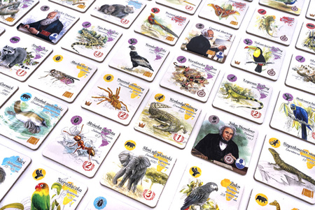 Śladami Darwina (Rebel)